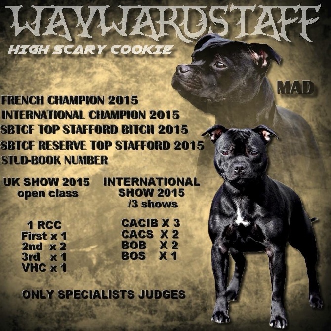 Waywardstaff - Résultats 2015