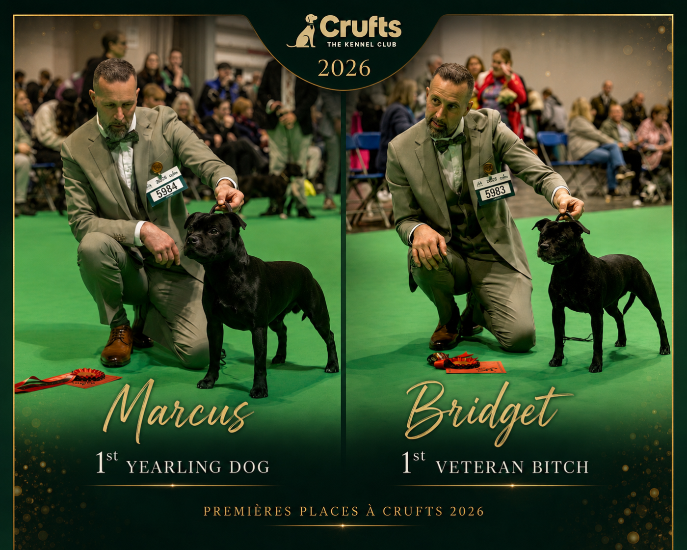 Waywardstaff - CRUFTS 2026