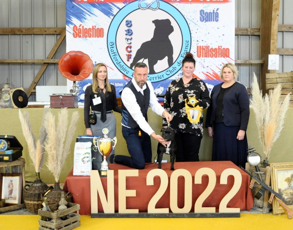 NATIONALE D'ELEVAGE SBTCF 2022